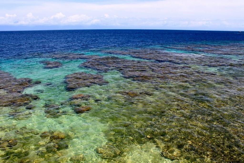 Coral View Beach Resort Utila Exterior foto